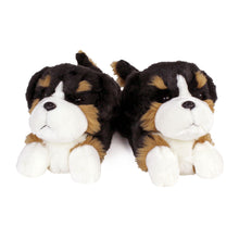 Everberry Bernese Mountain Dog Slippers View of Pair