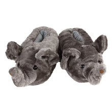 Elephant Slippers View of Pair