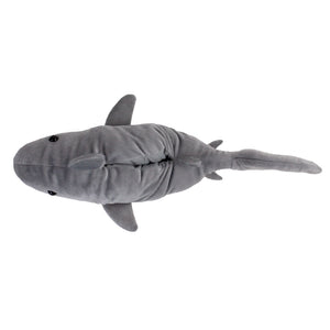 Shark Slippers Top View