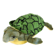 Turtle Slippers 3/4 View 