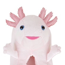 Close up of the face of an Axolotl Slipper, showing detail of external gills