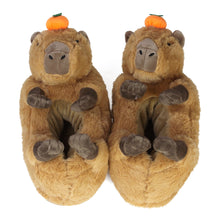 Pair of capybara slippers top view