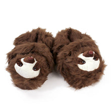 Pair of Fuzzy Sloth Slippers