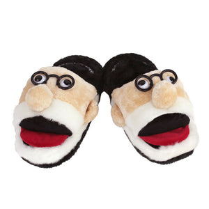 Freudian Slippers View of Pair