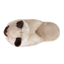 Himalayan Cat Slippers Top View