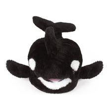 Killer Whale Orca Slippers Front View 