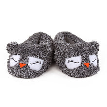 Owl Slippers View of Pair