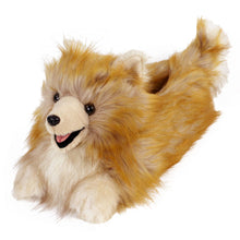 Everberry Pomeranian Dog Slippers 3/4 View 