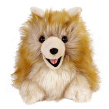 Everberry Pomeranian Dog Slippers Front View 
