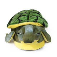 Turtle Slippers Front View 