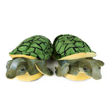 Turtle Slippers View of Pair